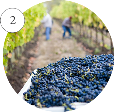 こだわり2 イメージ写真