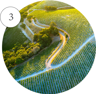 こだわり3 イメージ写真