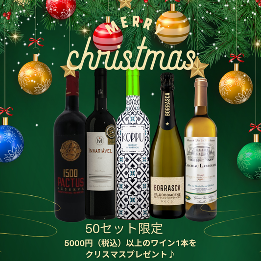 【送料無料】\\ 特別ご奉仕!// ☆X'mas プレゼント付☆当店人気NO.1入クリスマスセット